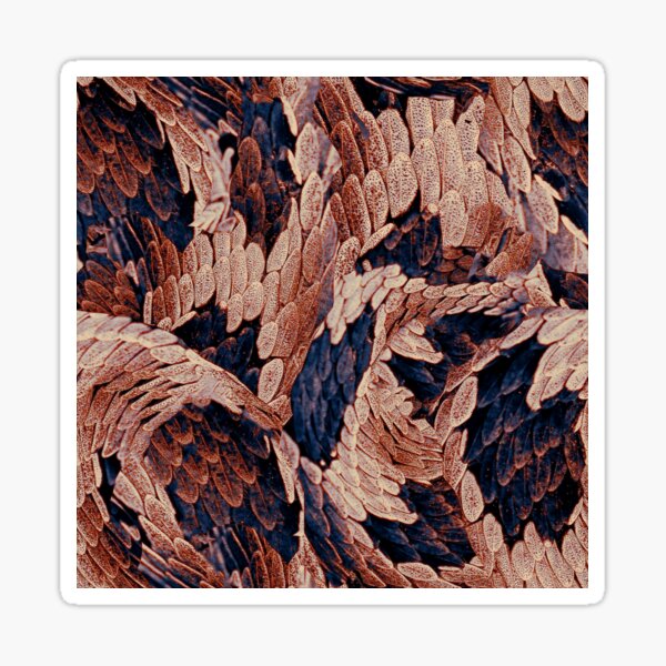 Aperçu de l'œuvre Imprimé abstrait inspiré de la peau de serpent créée et vendue par RSDigitalPrintDesign.