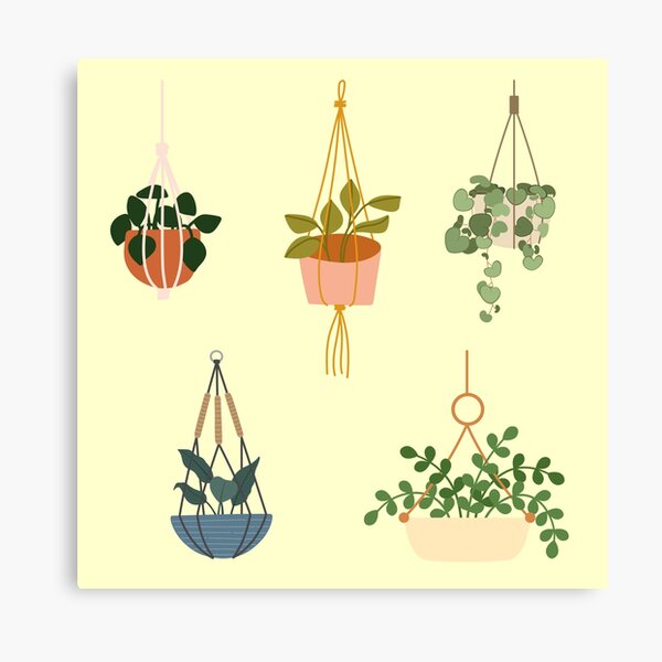 Item preview, Cute Hanging Planters For Gardner And Plant Lover - Hanging Planters designed and sold by lodarohit.
