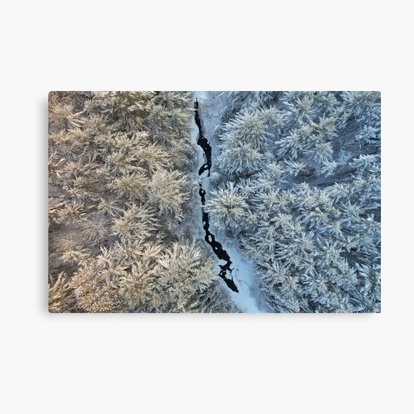 Whorl Divided Canvas Print