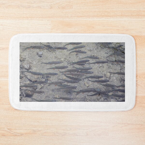 Item preview, A shoal of Dace, a fish that is a species of the carp family, at Plitvice Lakes, Croatia designed and sold by SnapTPhotograph.