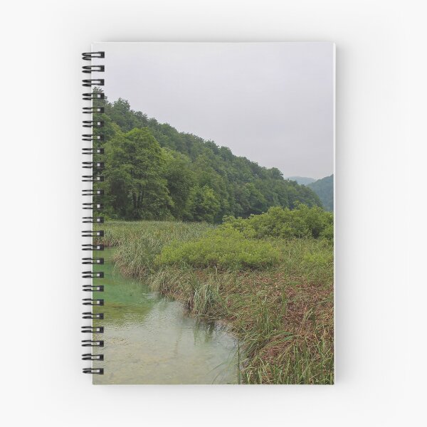 Item preview, A clear green stream flowing through a reed bed into Lake Kozjak, Plitvice Lakes, Croatia designed and sold by SnapTPhotograph.