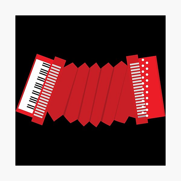 "accordion accordion player, music, accordion lover, accordionists