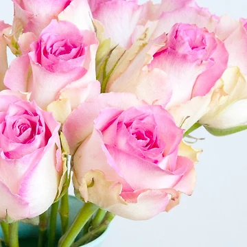 Artwork thumbnail, Pink Roses by Colleen Farrell