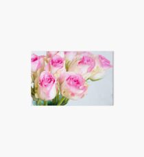 Lámina de exposición Rosas rosadas