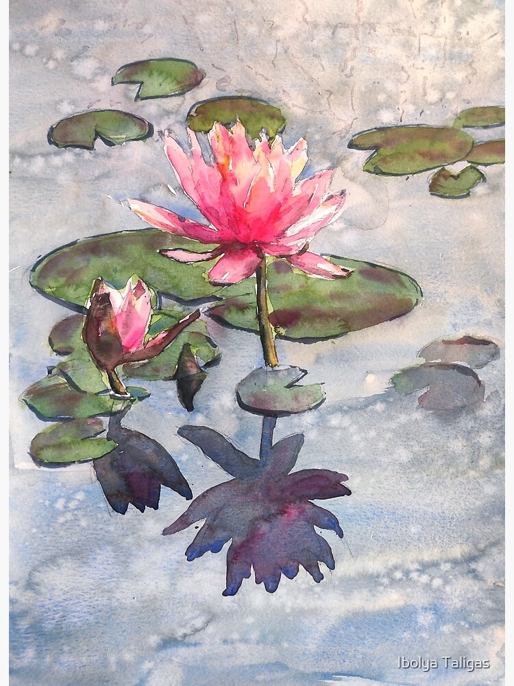 Pink waterlily painting, Watercolour flower, aquatic plant wall art, floral wall  decor, pond reflections wall hanging, original art online