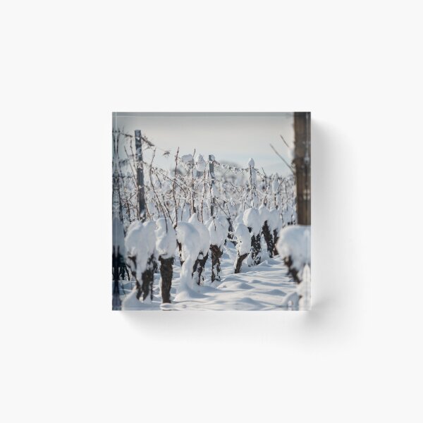 Item preview, Alsace vineyards under heavy snow on a sunny winter day. Details and top view. designed and sold by Alexander Sorokopud.