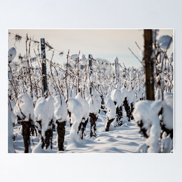 Item preview, Alsace vineyards under heavy snow on a sunny winter day. Details and top view. designed and sold by Alexander Sorokopud.