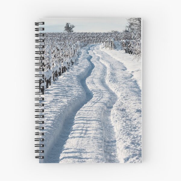 Item preview, Snowy road in the fields of Alsace. Sunny winter day. designed and sold by Alexander Sorokopud.