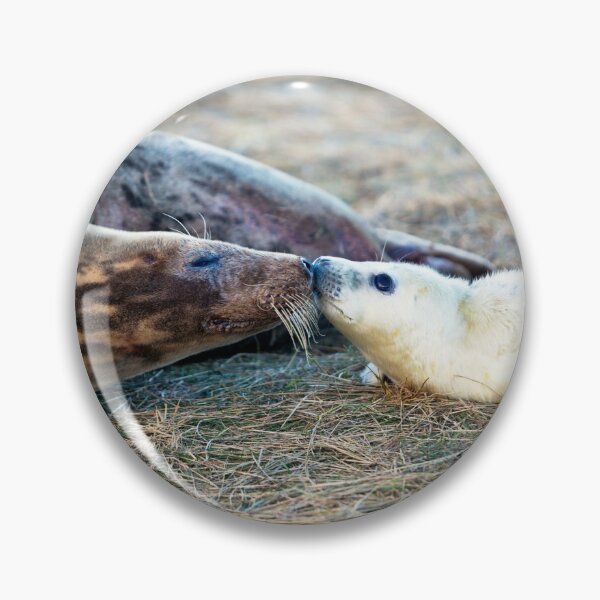 Item preview, Donna Nook Grey Seal Colony Kiss designed and sold by Paul Thompson Photography.