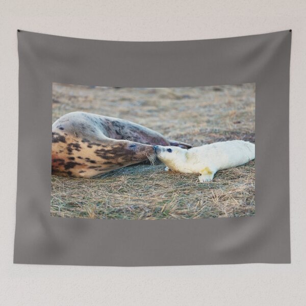 Item preview, Donna Nook Grey Seal Colony Kiss designed and sold by Paul Thompson Photography.