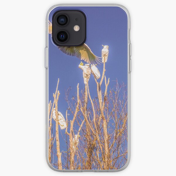 In Flight - Sulphur-crested Cockatoo iPhone Soft Case