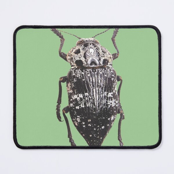 Item preview, Pistachio Rootborer Capnodis Cariosa Isolated designed and sold by taiche.