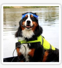 Dog Coxswain Sticker