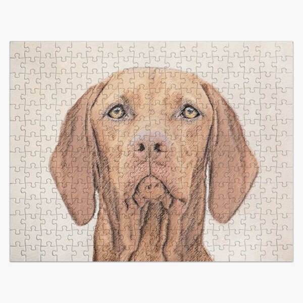 vizsla jigsaw puzzle