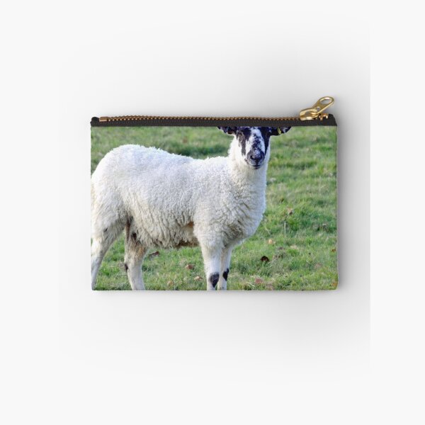 Item preview, Hello Ewe........... designed and sold by lynn carter.