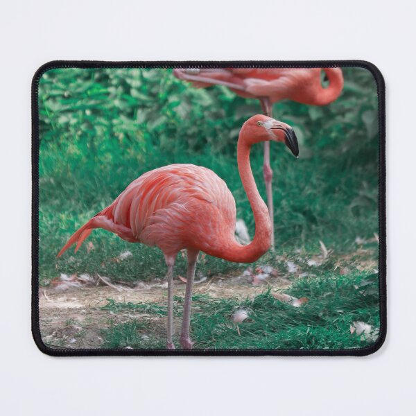 Item preview, Pink flamingo designed and sold by SophieHueper.