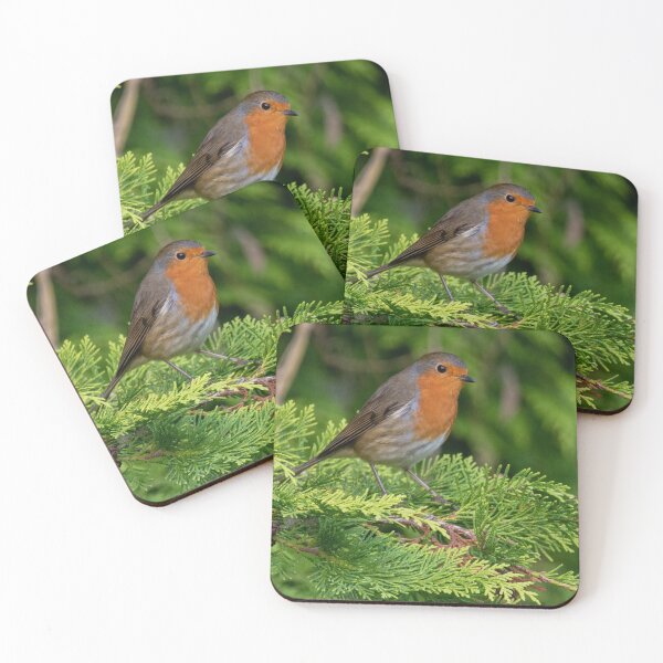 Item preview, Robin petirrojo en un árbol verde designed and sold by cdkphotos.