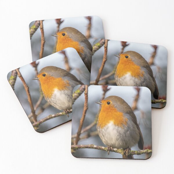 Item preview, Robin atop a branch designed and sold by cdkphotos.