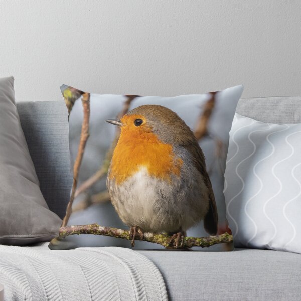 Item preview, Robin atop a branch designed and sold by cdkphotos.