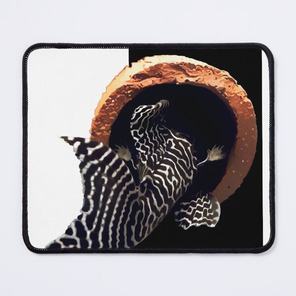 Item preview, Copy of L333 Pleco Yellow designed and sold by GFishy.