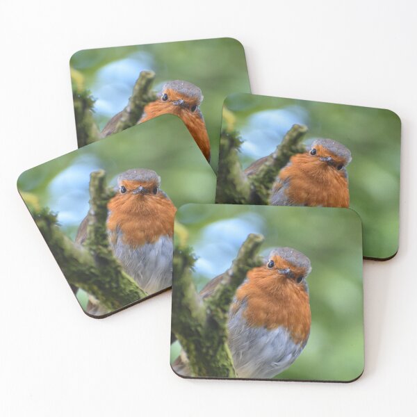 Item preview, Petirrojo curioso designed and sold by cdkphotos.