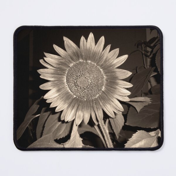 Item preview, Sunflower at Night designed and sold by DBMenagerie.