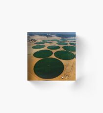 cultivated fields Acrylic Block