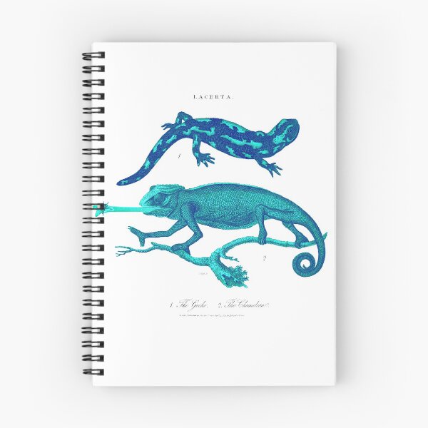 Item preview, Antique Georgian 19th Century Engraving illustration Lizard Chameleon Gecko print designed and sold by CoreImaging.