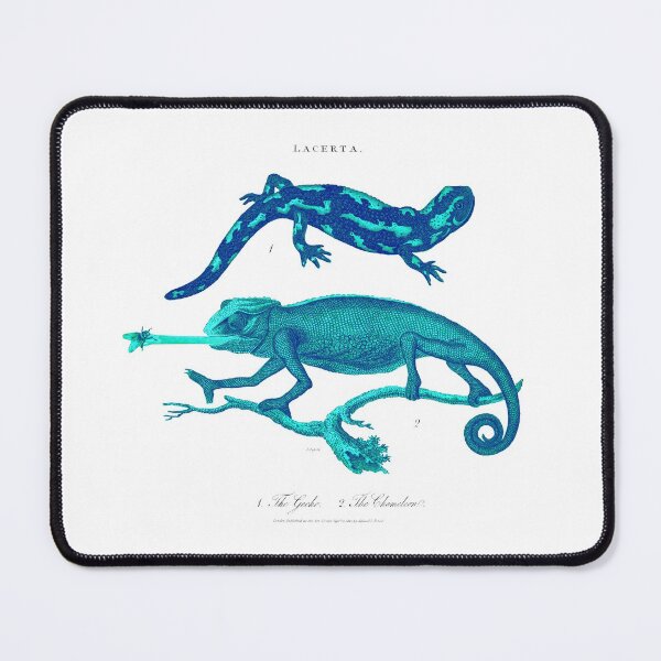 Item preview, Antique Georgian 19th Century Engraving illustration Lizard Chameleon Gecko print designed and sold by CoreImaging.