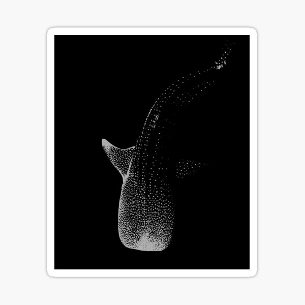 Artikel-Vorschau von Walhai Rhincodon typus #1589, designt und verkauft von TheAplus.