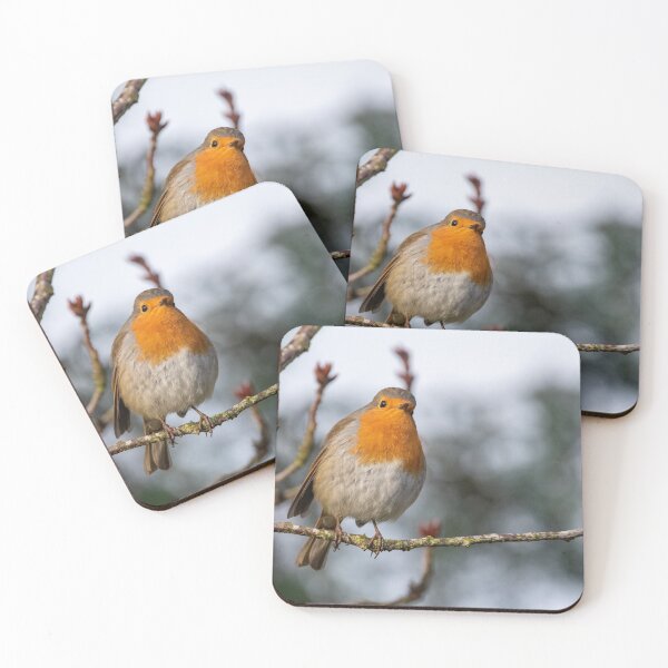 Item preview, Hermoso petirrojo petirrojo designed and sold by cdkphotos.
