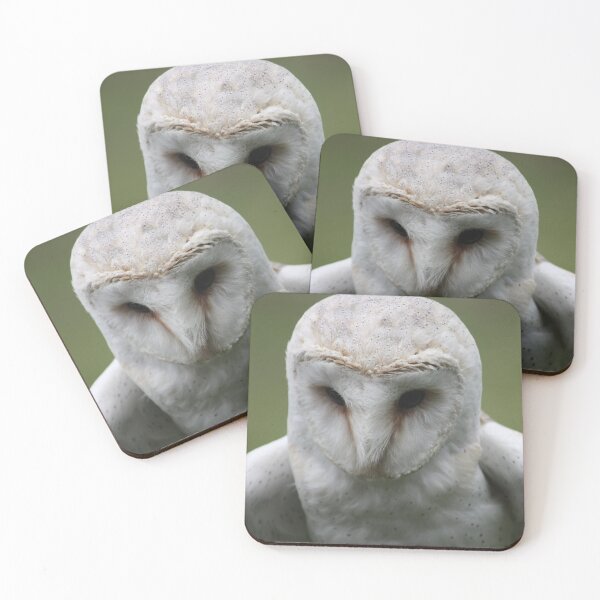 Item preview, Barn Owl Close-up designed and sold by kew-photography.