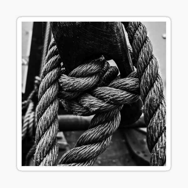 "Tied Up In Knots" Sticker by paulspoon Redbubble