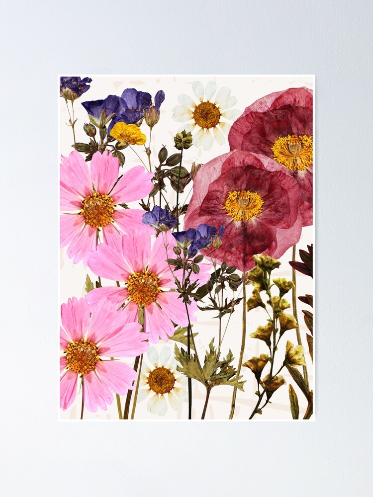 The Delicate Charm of Dried Florals - Pressed Dried flowers on white  background | Poster