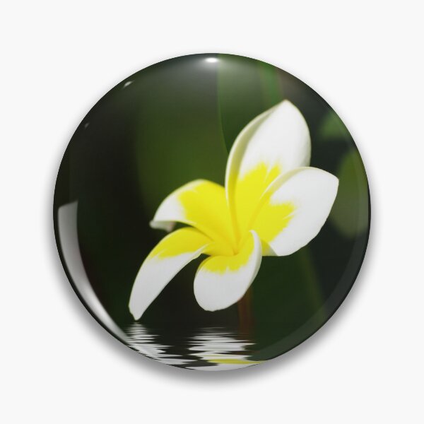 Artikelvorschau, Frangipani im Wasser entworfen und verkauft von Rainy.