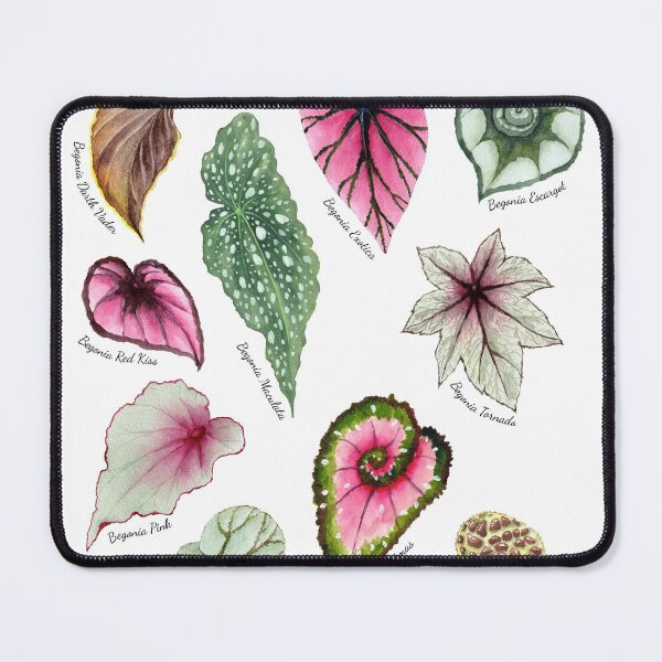 Item preview, Original Watercolor Painting of Different Begonia Leaves designed and sold by fengyuhao.