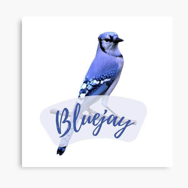 3D Printing - Blue Jay, Monarch, Goldfinch, Cardinal, Chic…