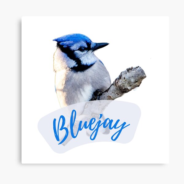 3D Printing - Blue Jay, Monarch, Goldfinch, Cardinal, Chic…