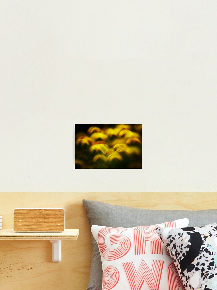 Thumbnail 2 of 3, Photographic Print, Golden feathers designed and sold by patmo.