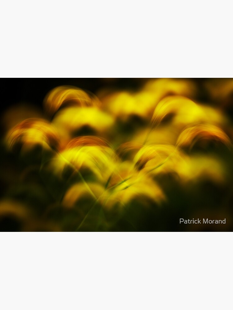 Thumbnail 3 of 3, Photographic Print, Golden feathers designed and sold by patmo.