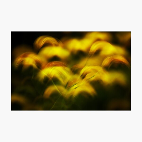Photographic Print