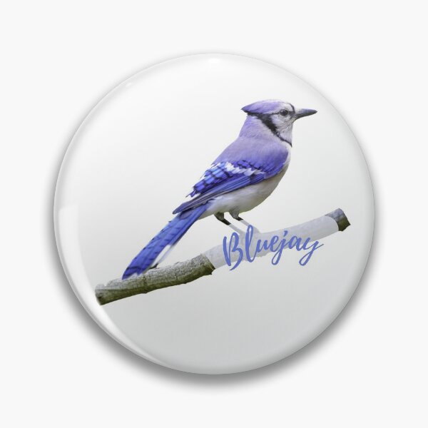 Artikelvorschau, Blauhäher-Vogel-Aufkleber entworfen und verkauft von PODTycoon.