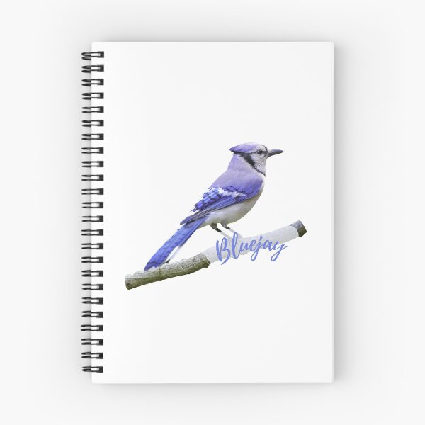 Item preview, Bluejay Bird Sticker designed and sold by PODTycoon.