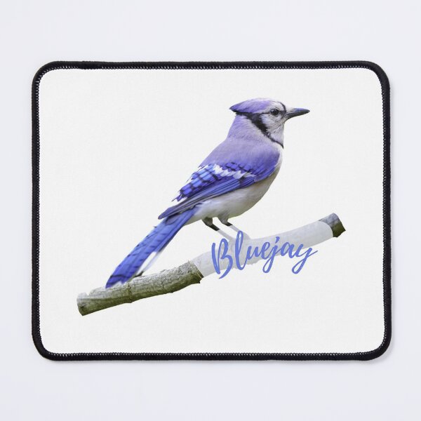 Item preview, Bluejay Bird Sticker designed and sold by PODTycoon.