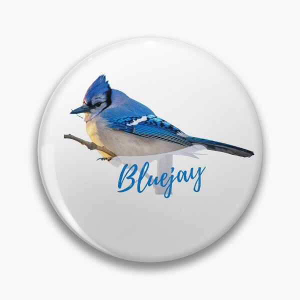 Artikelvorschau, Blauhäher-Vogel-Aufkleber entworfen und verkauft von PODTycoon.
