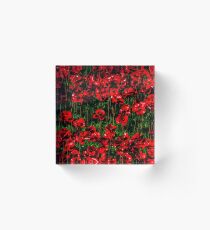 Poppy fields of remembrance for WW1 at Tower of London - square photo Acrylic Block