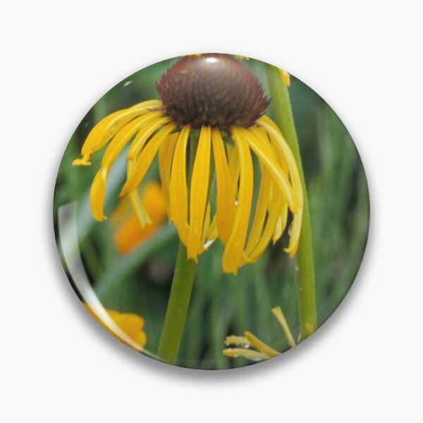 Item preview, Cone Flowers & Poppies designed and sold by Bill Spengler's Photographic Thoughts.