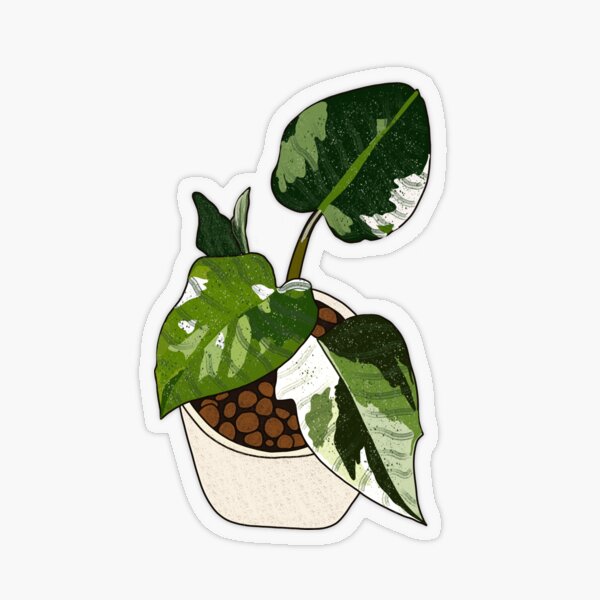 Plant Mom Sticker for Sale by marissadlr