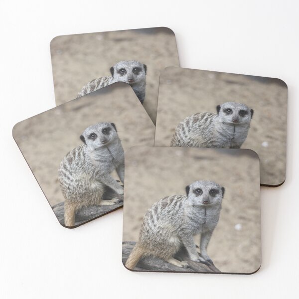 Item preview, A Very Cute Meerkat! designed and sold by kew-photography.