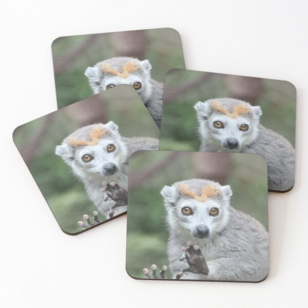 Item preview, Lemur Portrait designed and sold by kew-photography.
